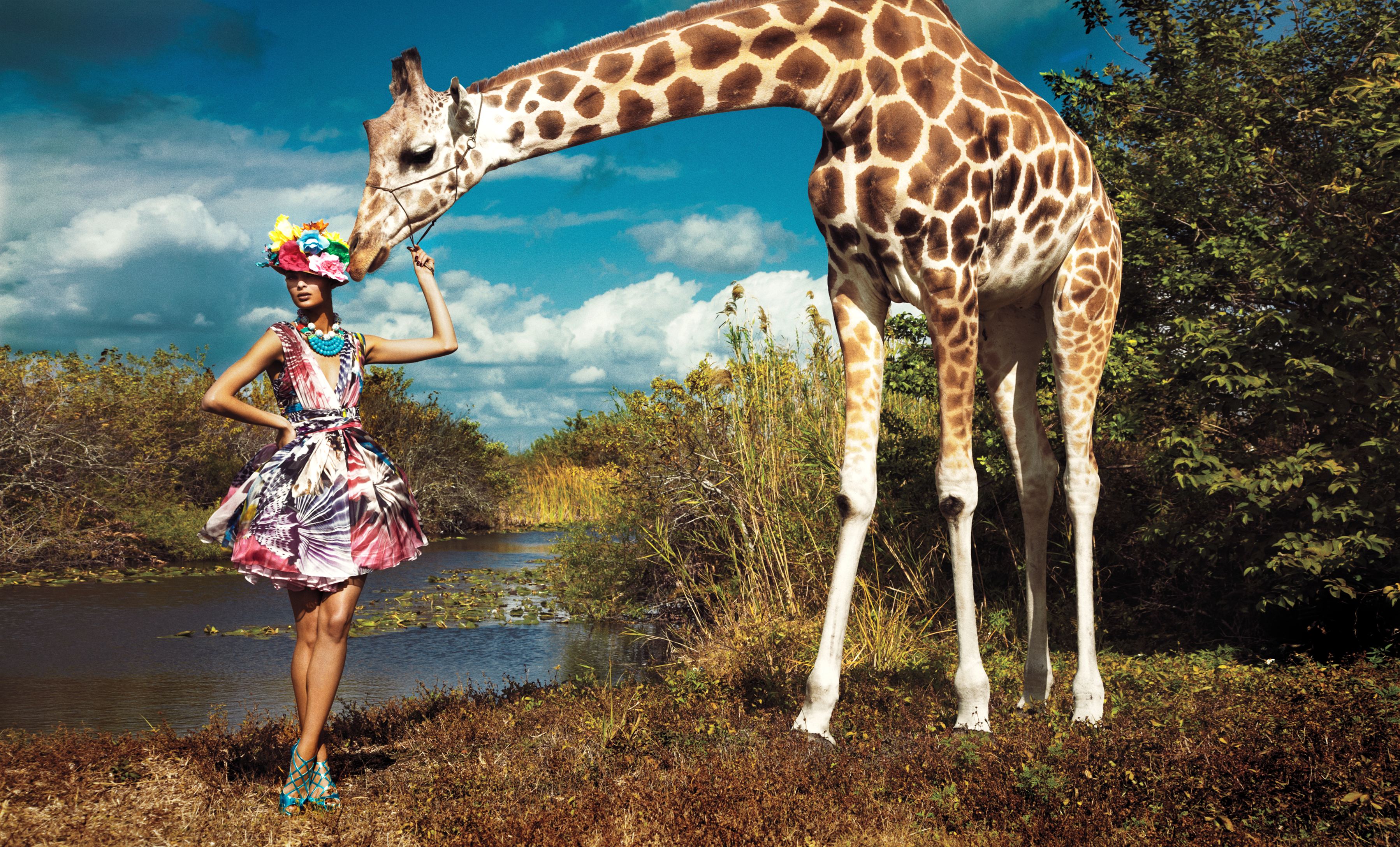 Giraffe