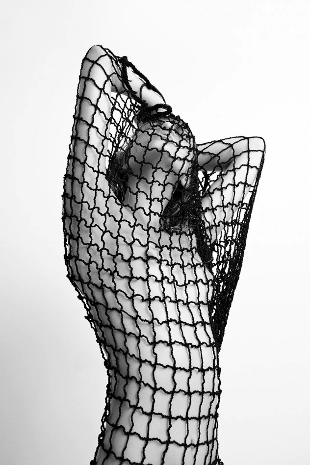Collée