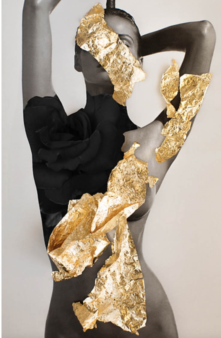 Golden Girl Black Rose