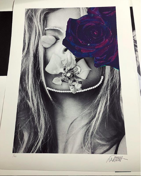 A Rose By Another Name