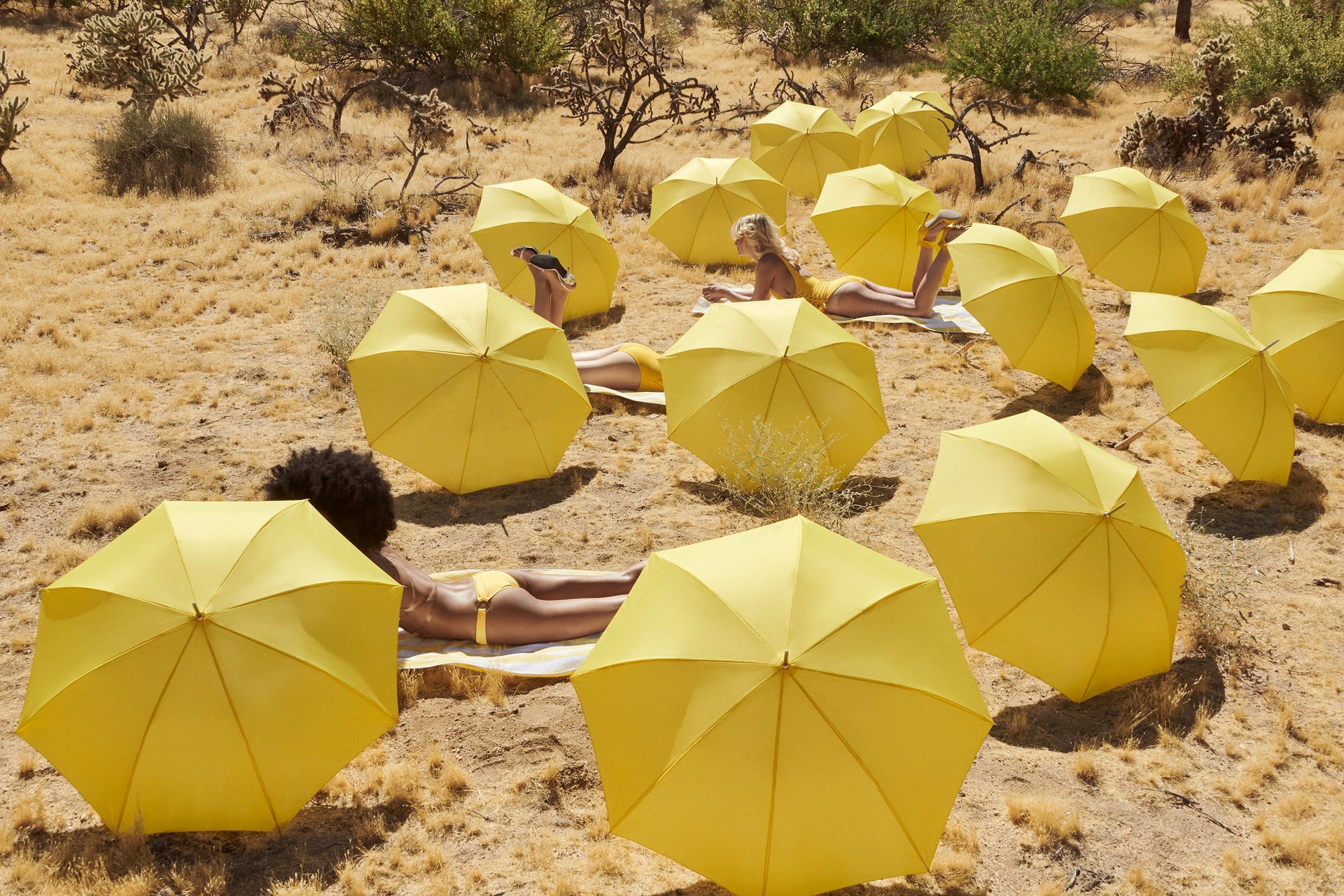 Umbrella II