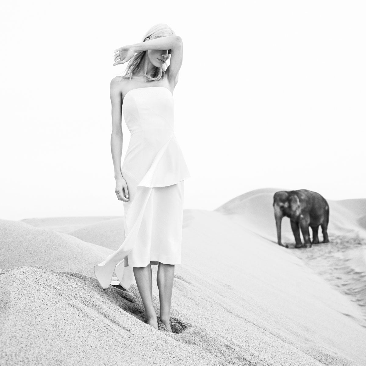 White Sand N.02