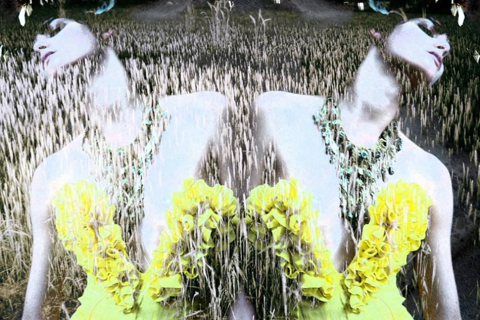 Field Dance