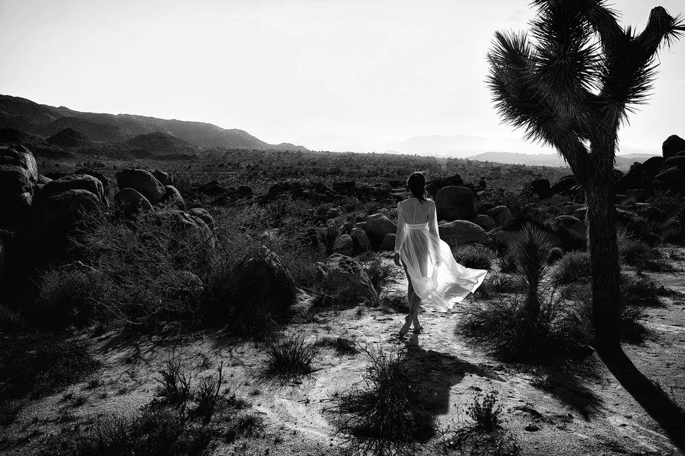 Lost In Joshua Tree