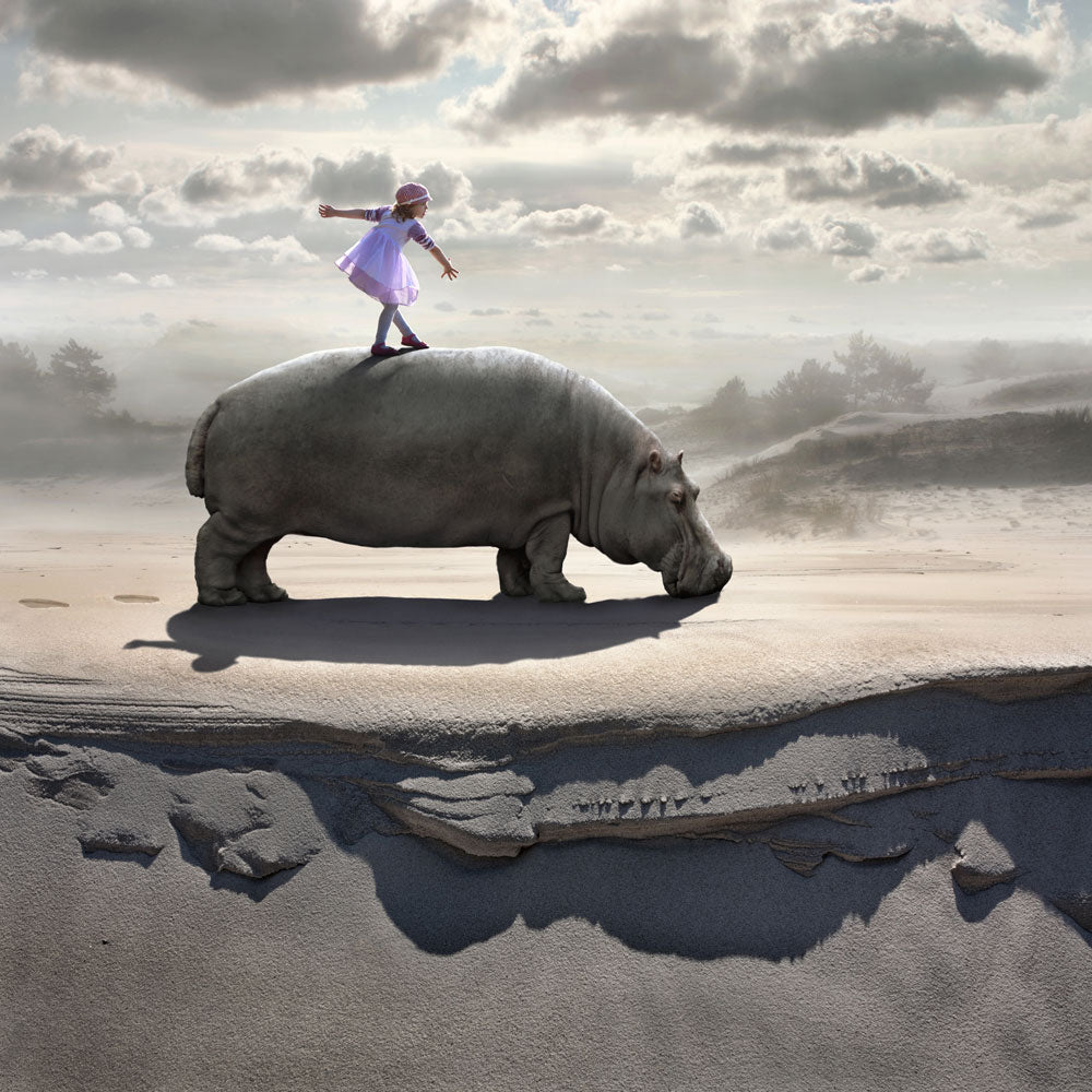 Hippodance