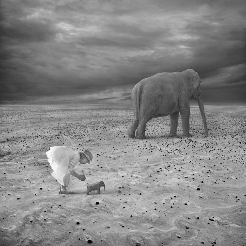 Out Of Africa