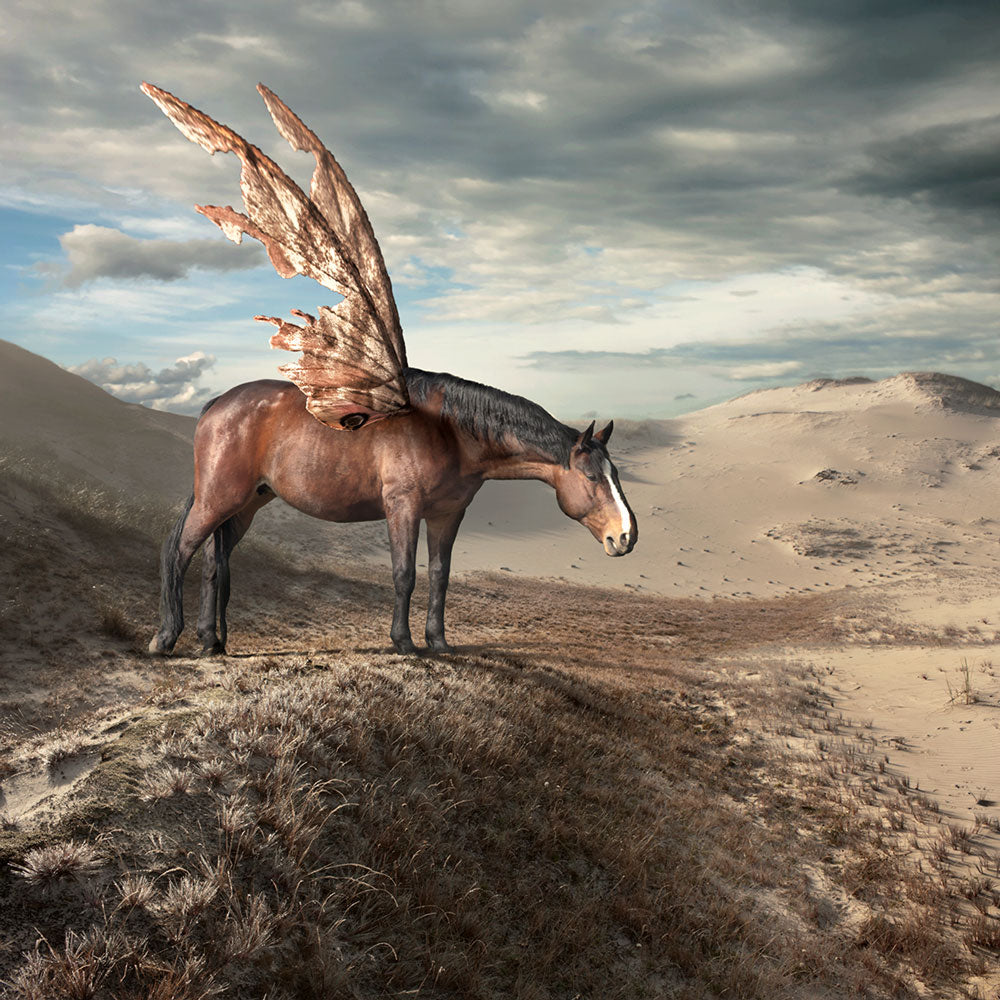 Pegasus