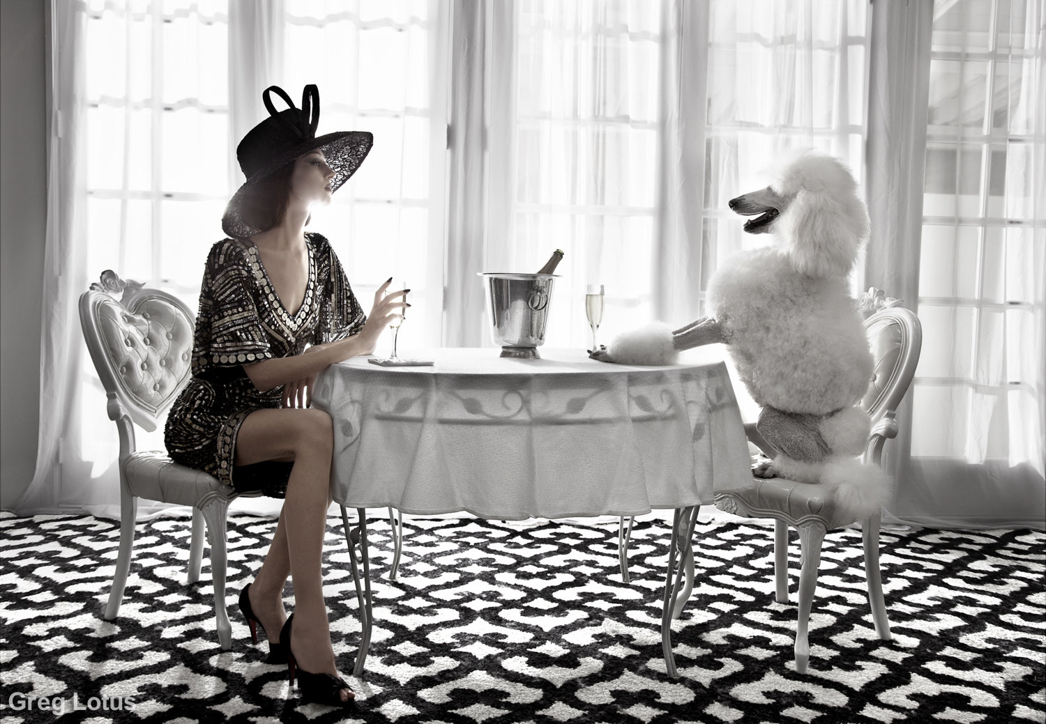 Champagne Poodle